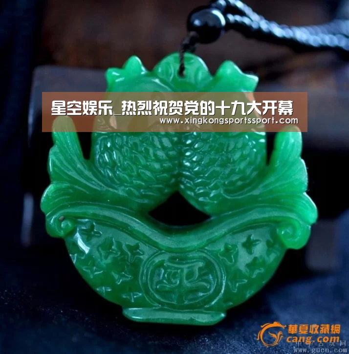 星空娱乐_热烈祝贺党的十九大开幕(图2) 星空娱乐_热烈祝贺党的十九大开幕(图2)