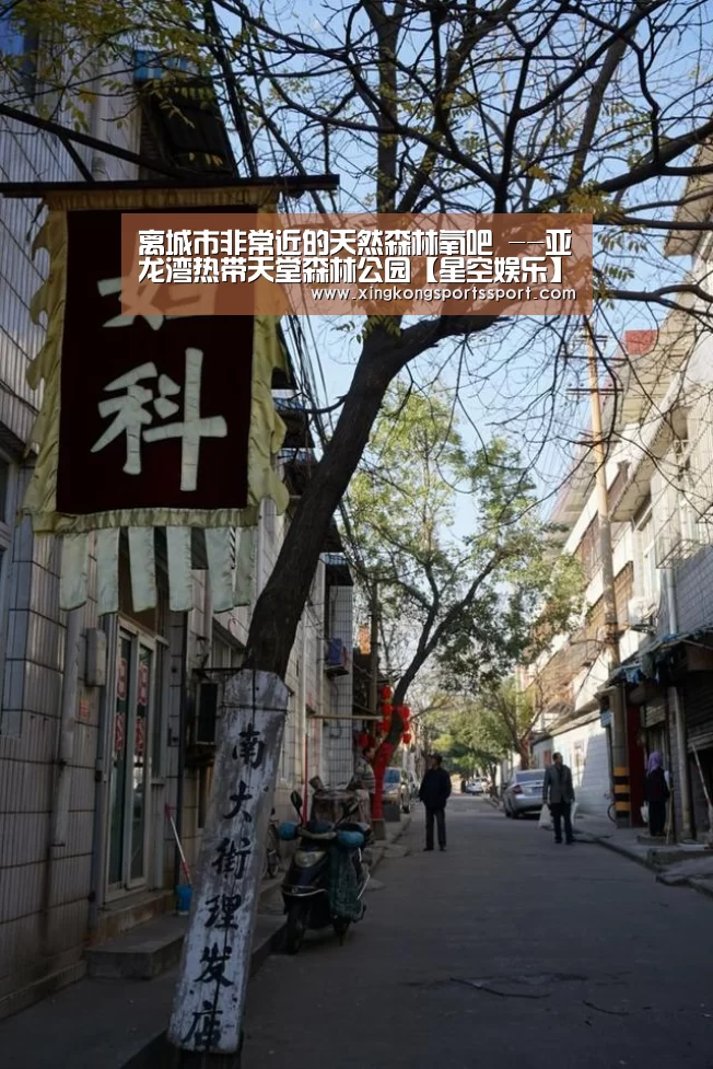 星空体育